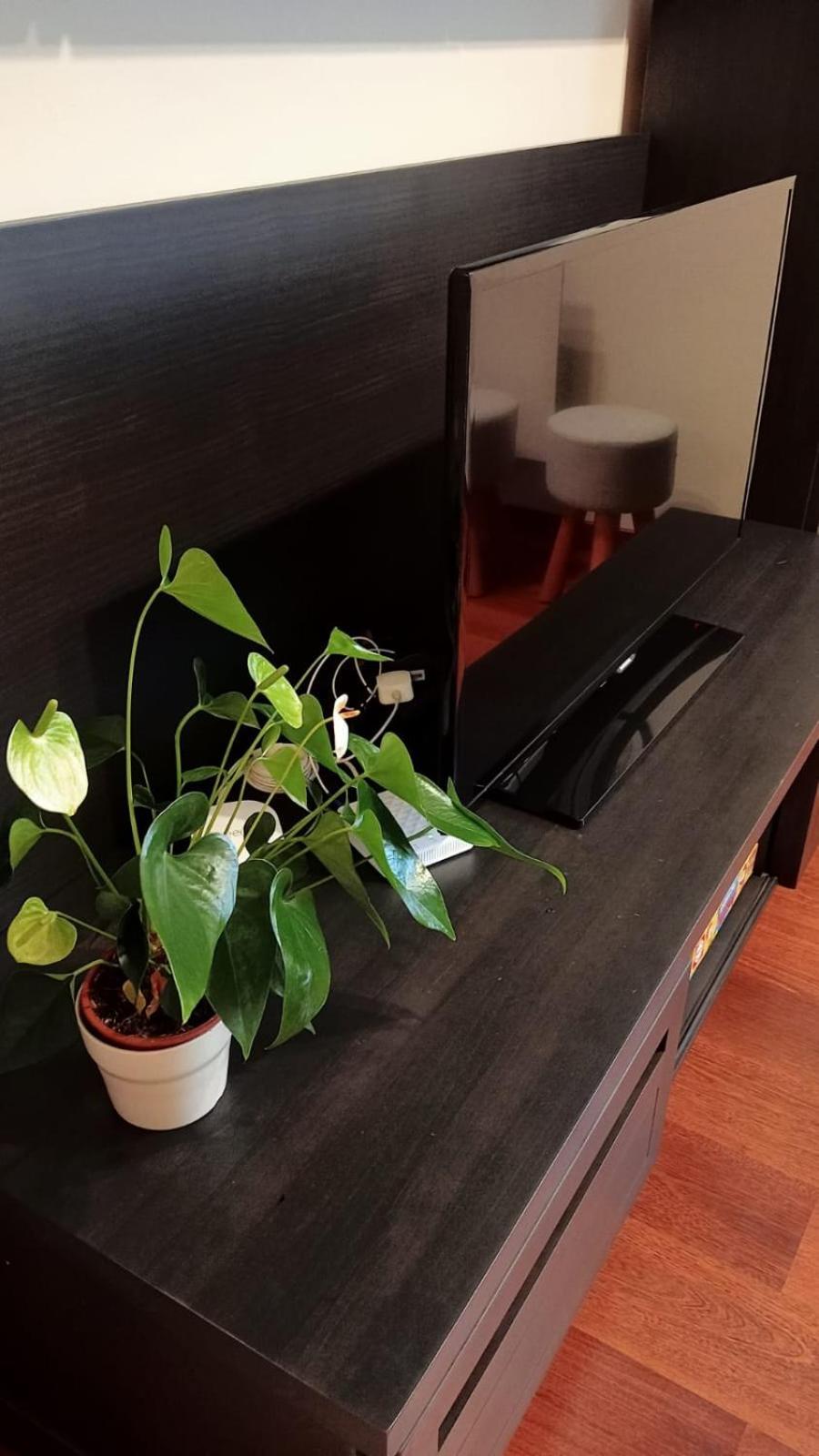 Apartamentos La Blanca Nueva De Llanes Kültér fotó
